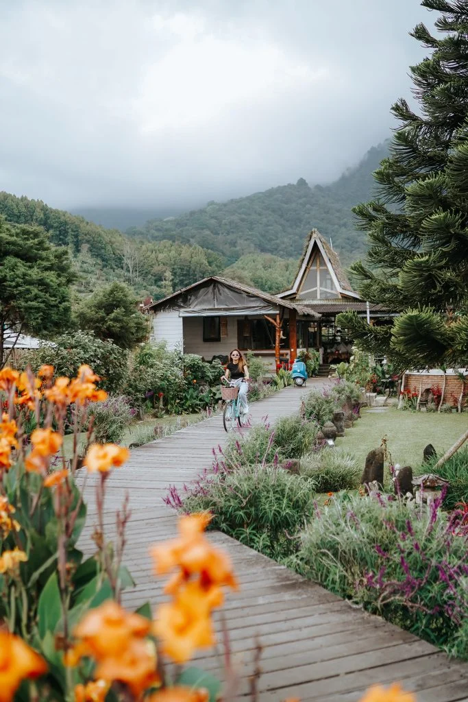 Flower-lined path to the cabins