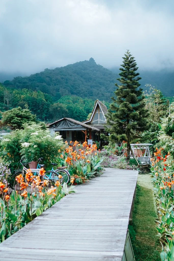 Garden walkway at Pondanu Cabins