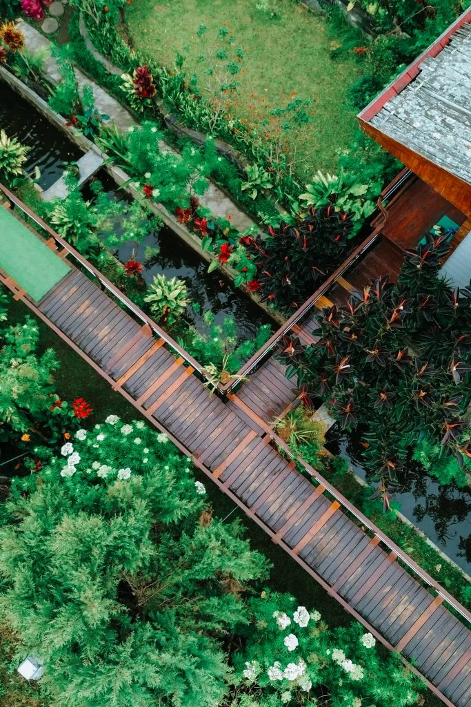 Aerial view of the garden walkway
